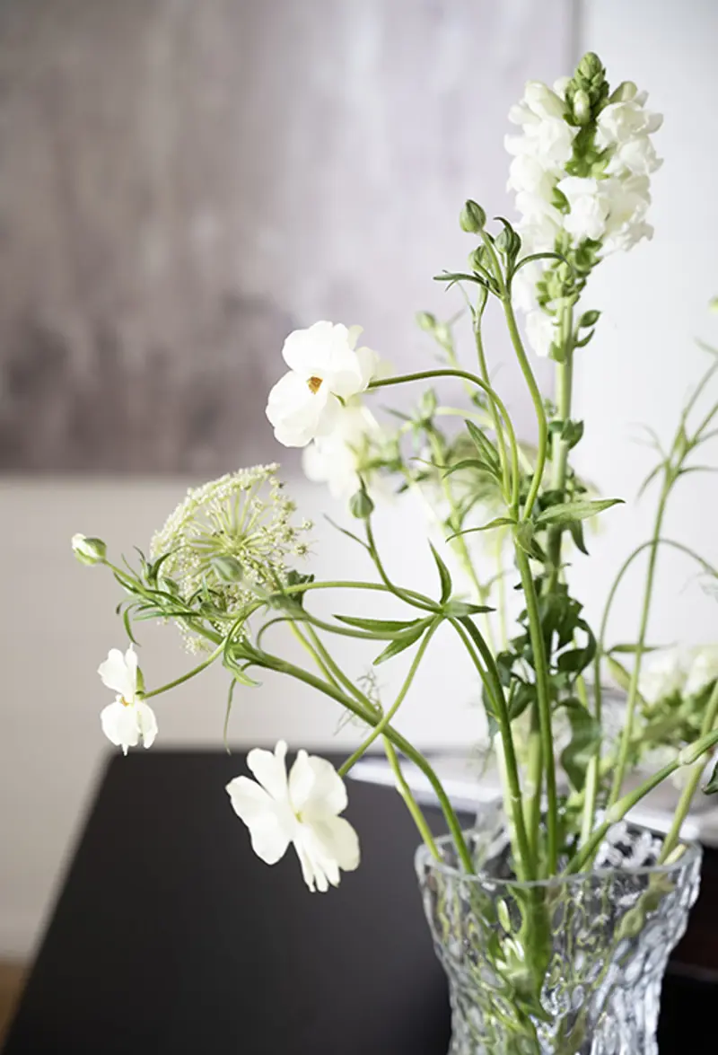 vilda blommor svart bord px.