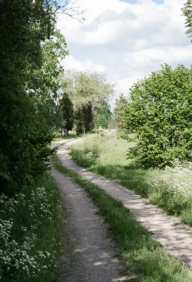 trakt summer road px.