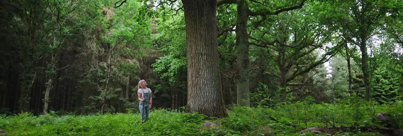 Film Ta hand om dina möbler.